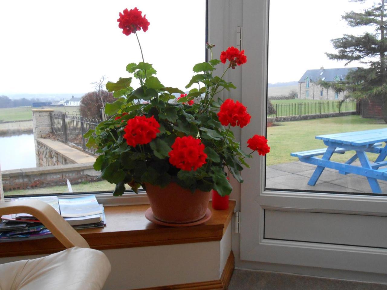Tambowie Farm Bed&Breakfast Milngavie Zewnętrze zdjęcie